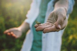 boy with grasshopper