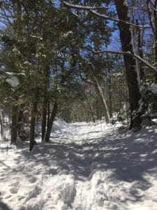 cross country skiing