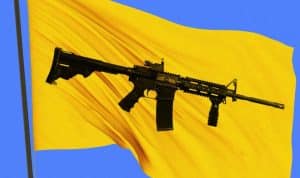 Yellow flag law gun violence Maine